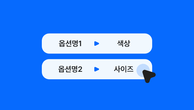 기본 옵션 명칭 등록